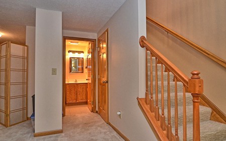 160 Hanover Ct Deleware Ohio Finished Lower level stairway